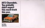 1973 Chevy Truck Mailer-01